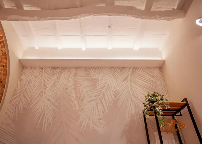 Switch 312 בית הארחה