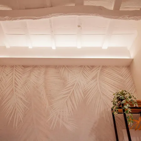 Switch 312 招待所